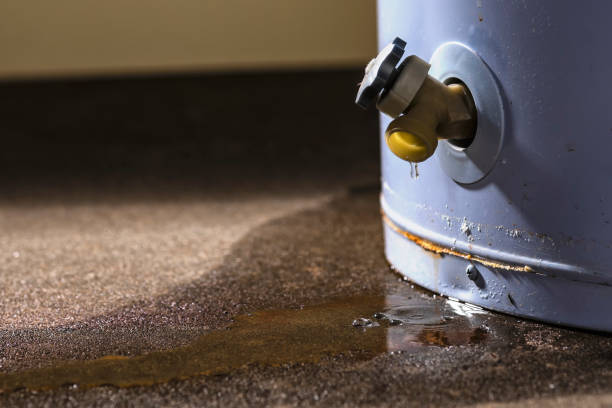 Best Flood restoration services  in Mojave, CA