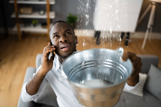 Best Mold removal after water damage  in Mojave, CA