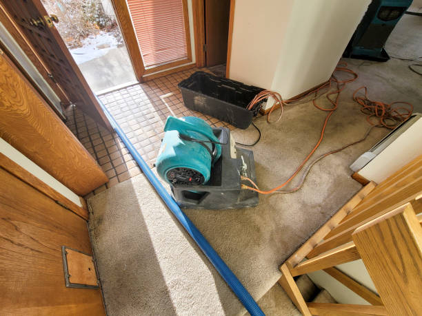 Water damage restoration insurance claims in CA