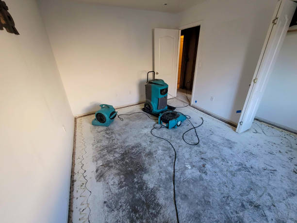 Best Water damage restoration services  in Mojave, CA