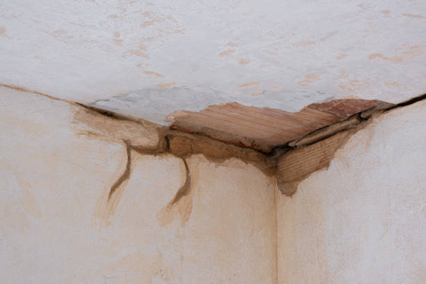 Best Local water damage restoration  in Mojave, CA