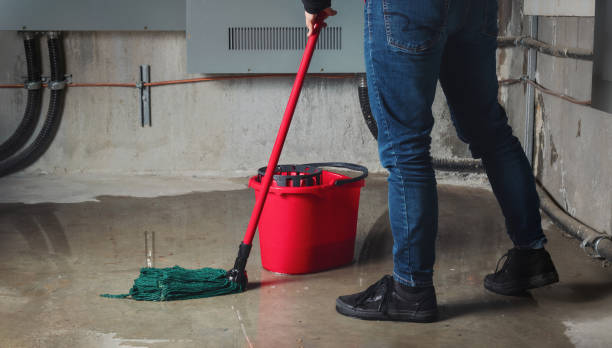Best 24-hour water damage restoration  in Mojave, CA