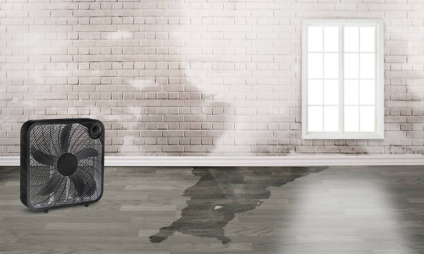 Best Fire Damage Restoration  in Mojave, CA