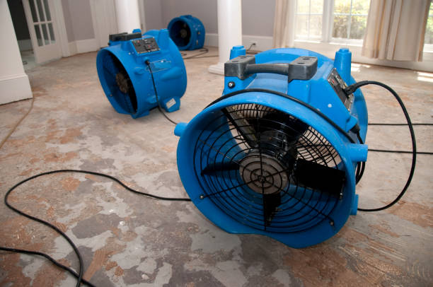  Mojave, CA Water damage restoration Pros