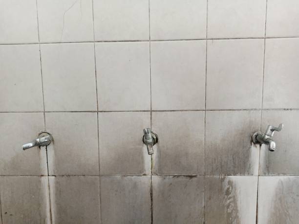 Best Carpet water damage restoration  in Mojave, CA