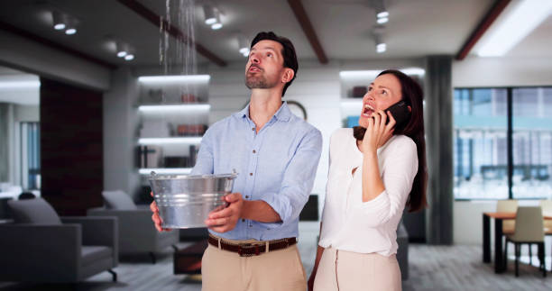 Best Carpet water damage restoration  in Mojave, CA