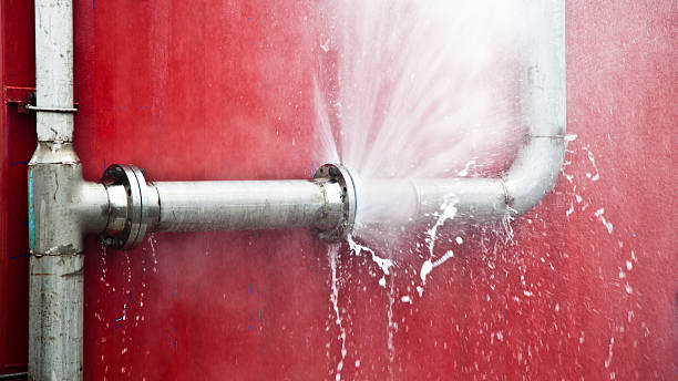 Best Water damage contractors near me  in Mojave, CA